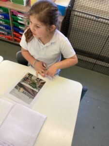 Term 2 Week 5