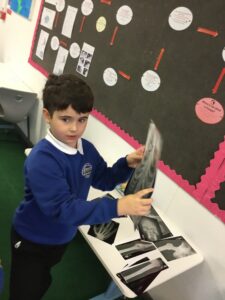 Term 3 Week 5