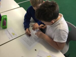 Term 3 Week 5