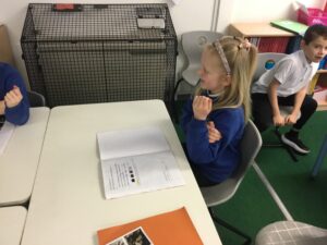 Term 3 Week 5