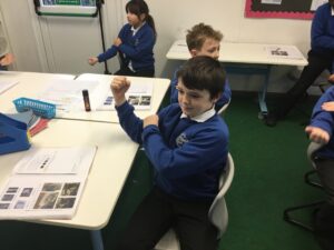 Term 3 Week 5