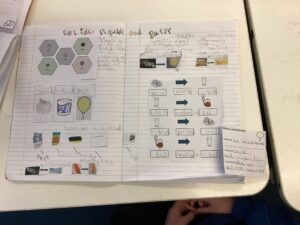 Term 2 Week 7