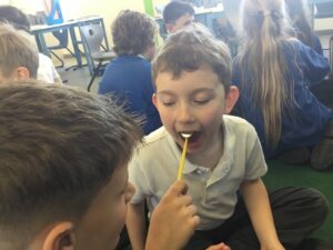 Term 4 Week 6