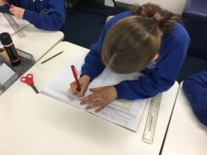 Term 5 Week 3