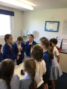Term 5 Week 2
