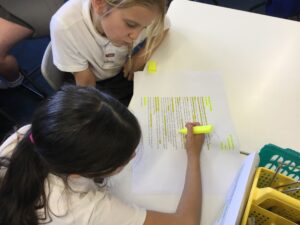 Term 5 Week 2