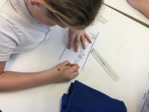 Term 5 Week 2