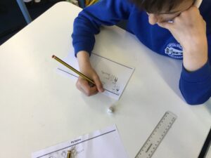 Term 5 Week 2