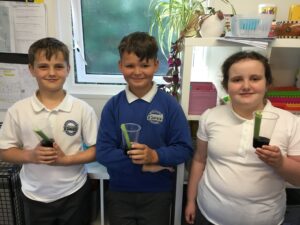 Term 5 Week 3
