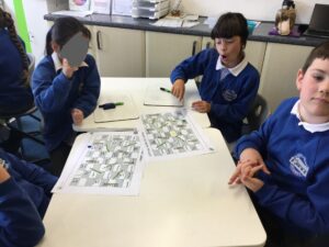 Term 5 Week 4