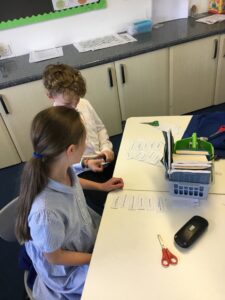 Term 5 Week 5