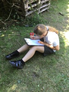 Term 5 Week 5
