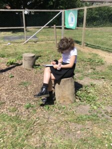 Term 5 Week 5