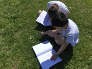 Term 5 Week 5