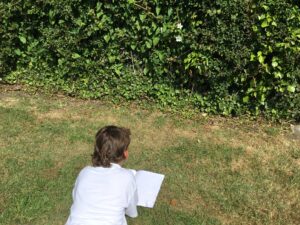 Term 5 Week 5