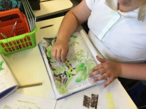 Term 5 Week 5