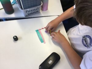 Term 5 Week 5