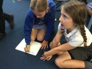 Term 6 Week 2