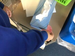 Term 6 Week 2