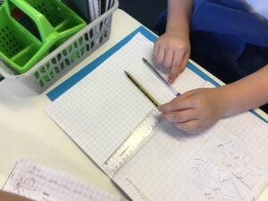 Term 6 week 3