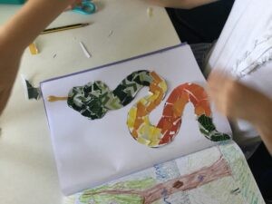 Term 6 week 3
