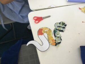 Term 6 week 3
