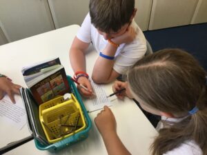 Term 6 Week 4