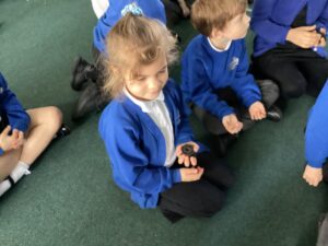 Term 4 Week 6