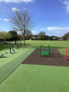 Term 4 Week 6