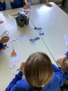 Term 5 Week 2