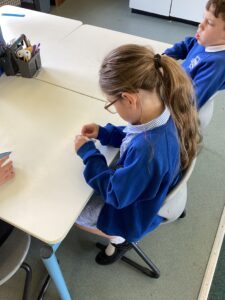 Term 5 Week 2