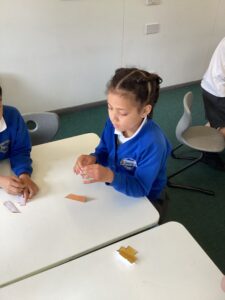 Term 5 Week 2