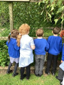 Term 5 Week 2