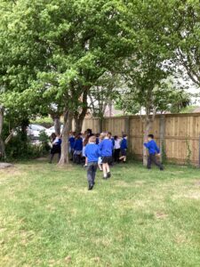 Term 5 Week 2