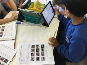 Term 6 Week 6