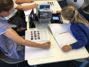 Term 6 Week 6