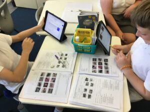 Term 6 Week 6