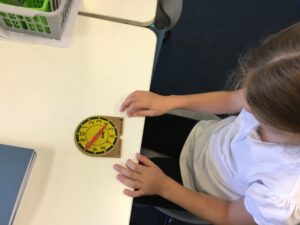 Term 6 Week 6