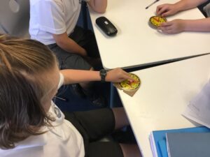Term 6 Week 6