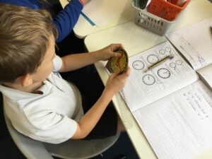 Term 6 Week 7