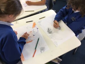Term 6 Week 7