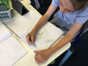 Term 6 Week 7