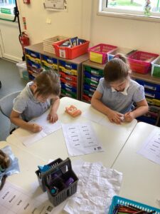 Term 5 Week 4