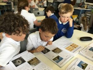 Term 6 Week 7