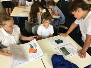 Term 6 Week 7