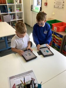 Term 5 Week 5