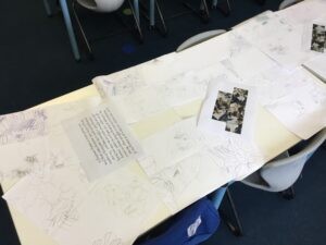 Term 6 Week 7