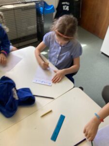 Term 6 Week 2