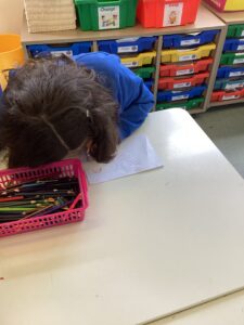 Term 6 Week 2