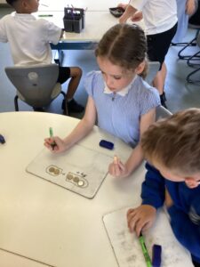 Term 6 Week 3